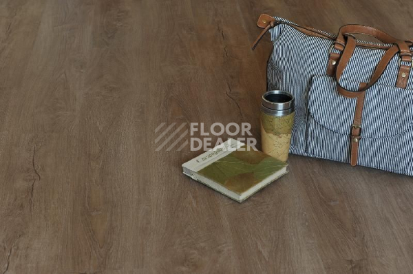 Кварцвиниловые полы Ecoclick Rich клеевой 2.5мм NOX-2062 Дуб Сен-Мартен фото 1 | FLOORDEALER